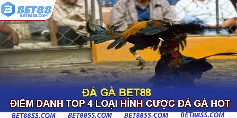 Điểm danh top 4 loại hình cược đá gà hot tại Bet88
