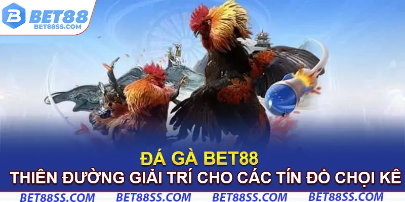 đá gà bet88