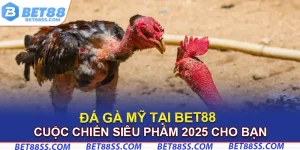 đá gà mỹ bet88