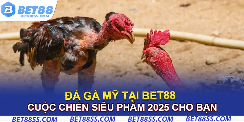 đá gà mỹ bet88