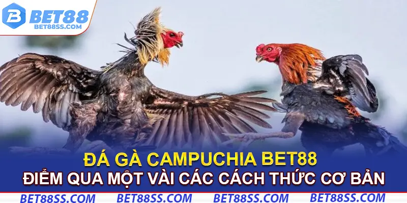 Điểm qua một vài các cách thức cơ bản khi tham gia cược